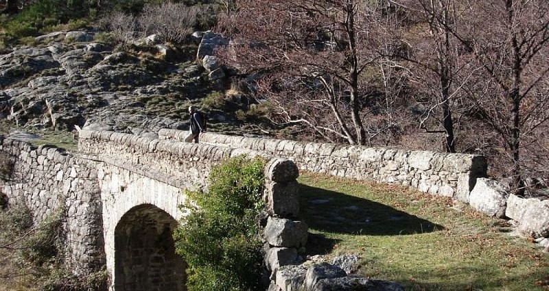 Pont de Drelieirède