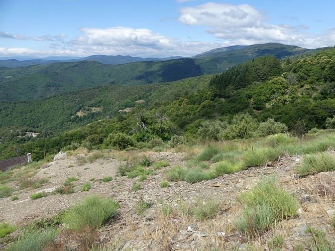 Vue sur le Signal de Ventalon