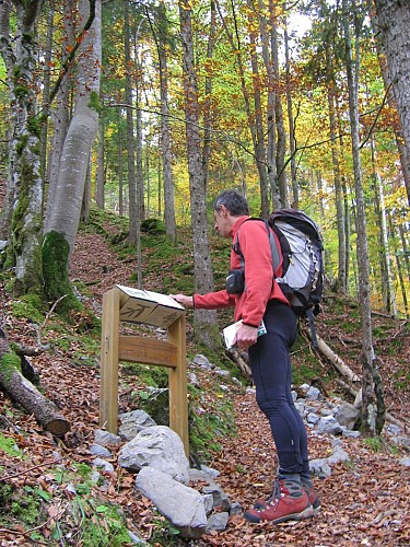 Le Vallon de Bellevaux