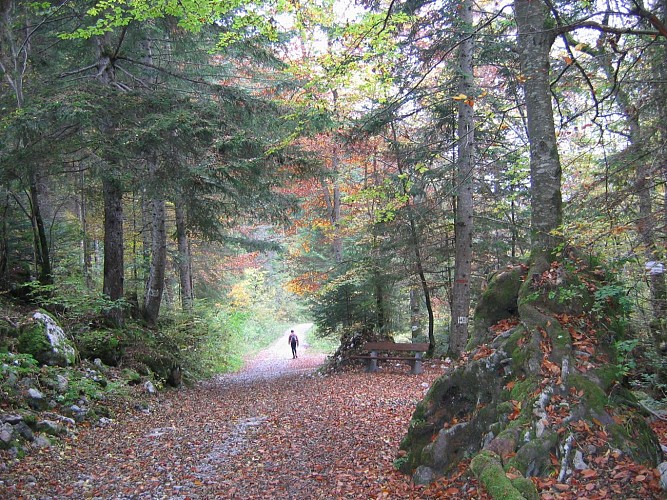 Le Vallon de Bellevaux