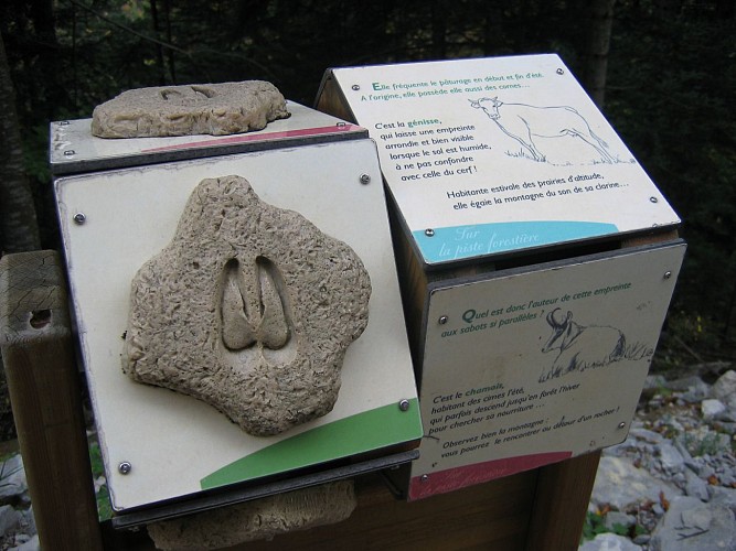 Bellevaux vallei ontdekkingsroute