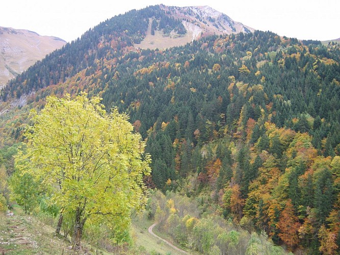 Bellevaux vallei ontdekkingsroute