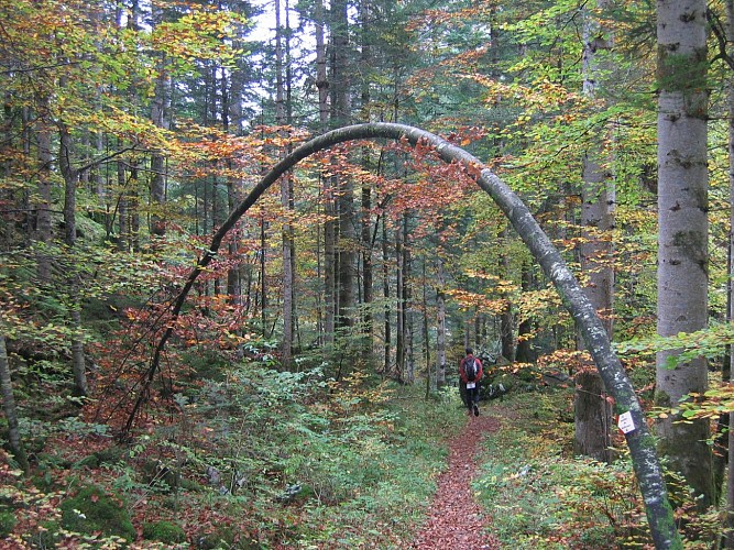 Bellevaux vallei ontdekkingsroute