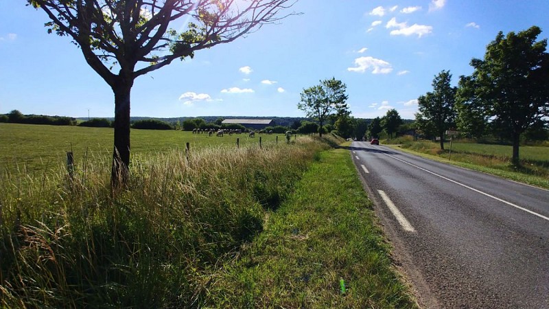 le long de la departementale