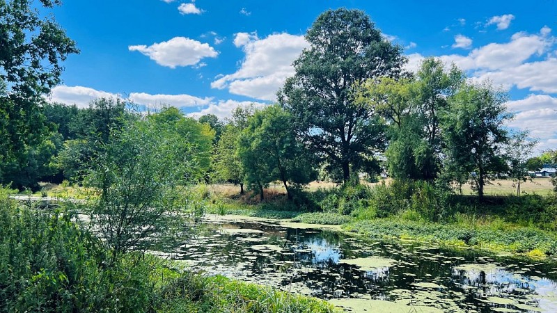 Boucle vélo : Vignobles et vallée du Thouet