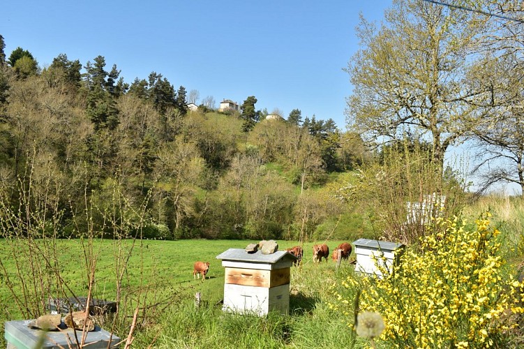 Chemin des écoliers de Chaliers-Margeride-Cantal-Auvergne