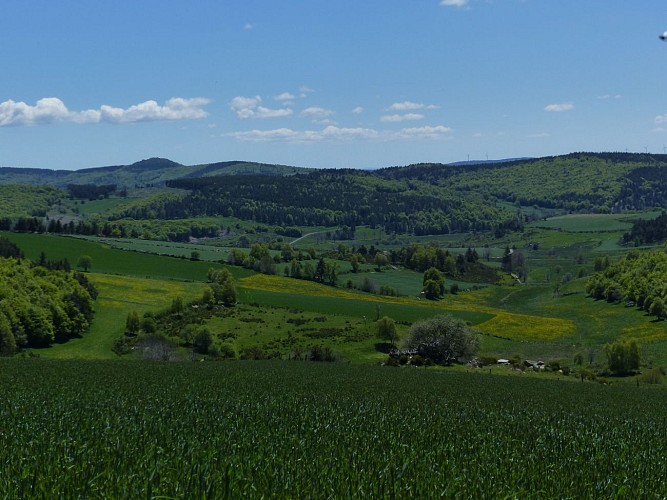 Autour du Mont-Mouchet-Margeride-Cantal-Auvergne