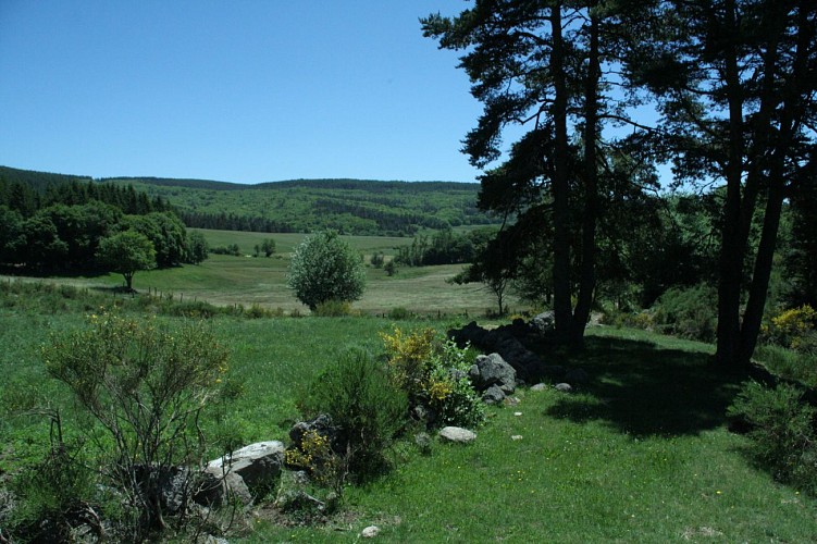 Autour du Mont-Mouchet-Margeride-Cantal-Auvergne