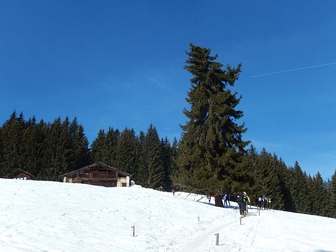 Ski touring itinerary: Le Plan des Dames