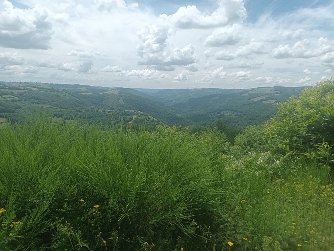 Hiking trail - From Granite to Wolfram