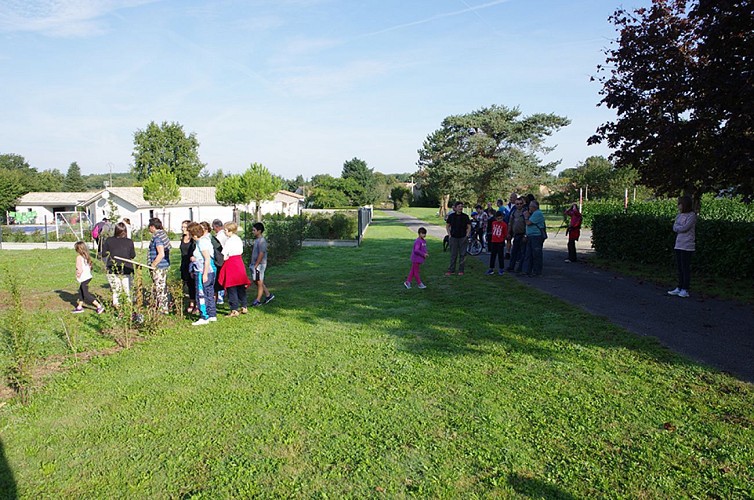 Lussac sentier la VOIE PREROMAINE