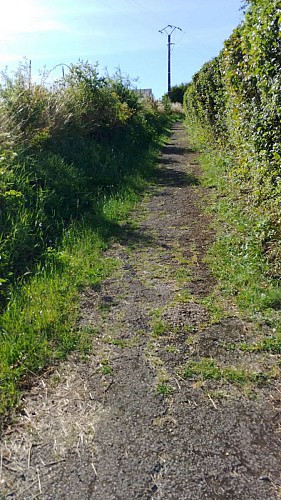 la cote vers Amermont