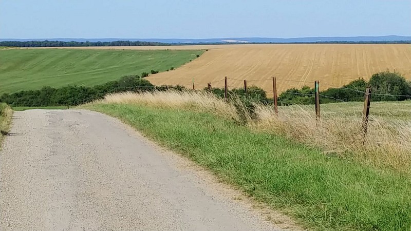 plateau d' Amermont 1