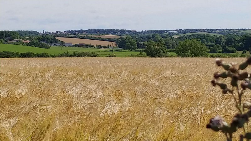 plateau d' Amermont 2
