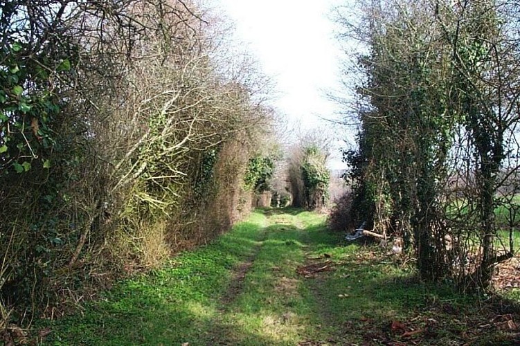 Turgon sentier des sangliers