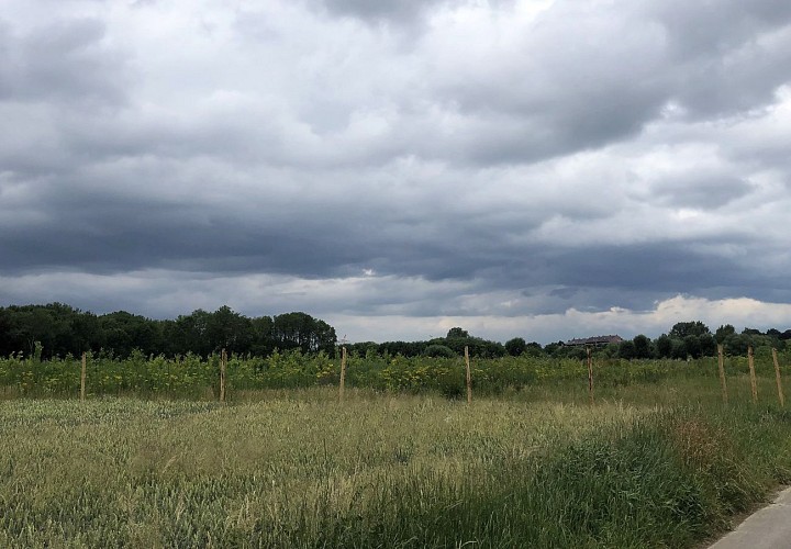 Sur les hauteurs de Vilvorde - Val et Oli