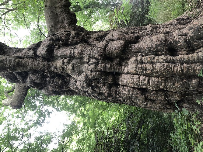 Sur les hauteurs de Vilvorde - Val et Oli