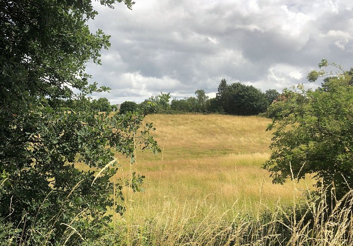 Sur les hauteurs de Vilvorde - Val et Oli