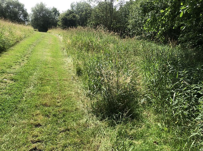 Sur les hauteurs de Vilvorde - Val et Oli