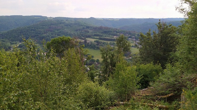 IMG_20220520_085755-01