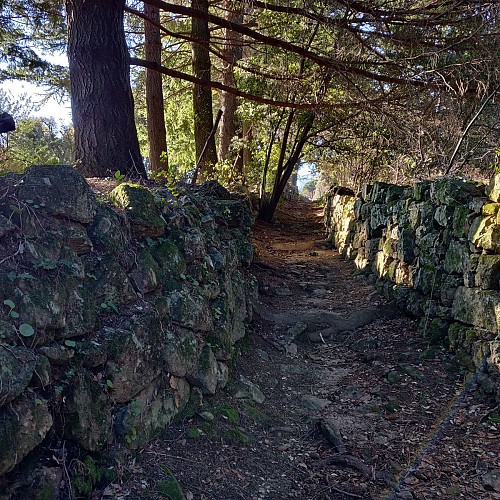 sentier de salindre Lasalle