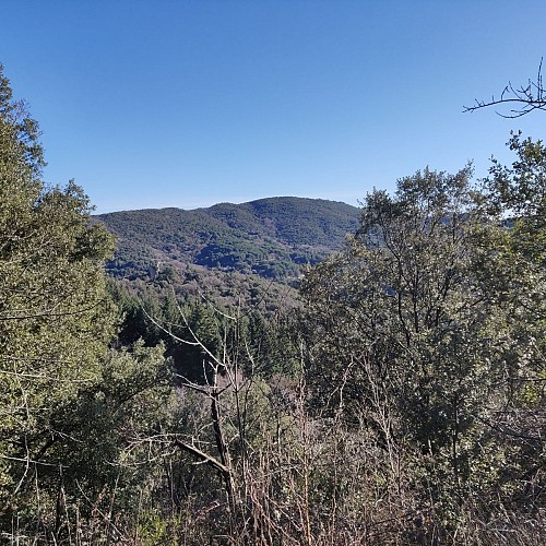 sentier de salindre Lasalle