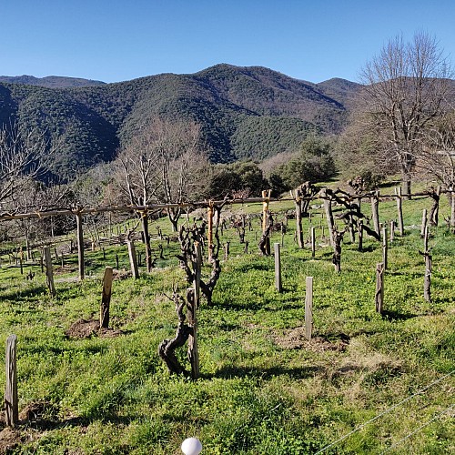 sentier de salindre Lasalle