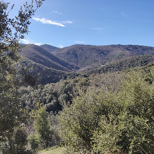 sentier de salindre Lasalle