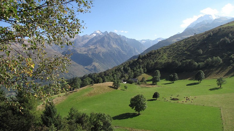Les granges de Nabias