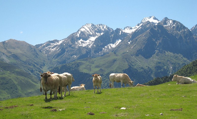Les granges de Nabias