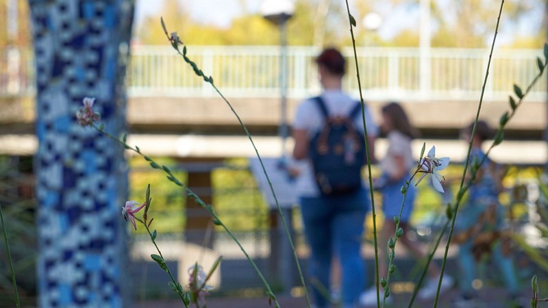 Randoland à Sarreguemines