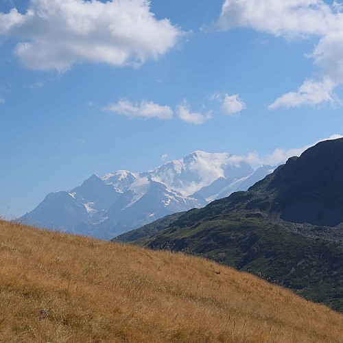 Le Mont Blanc depuis le Vallon de l'Outray