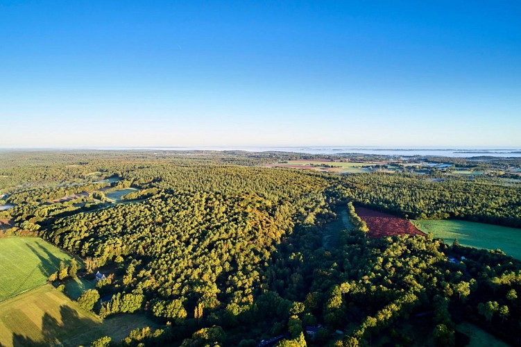 Grand-Champ porte des landes de Lavaux