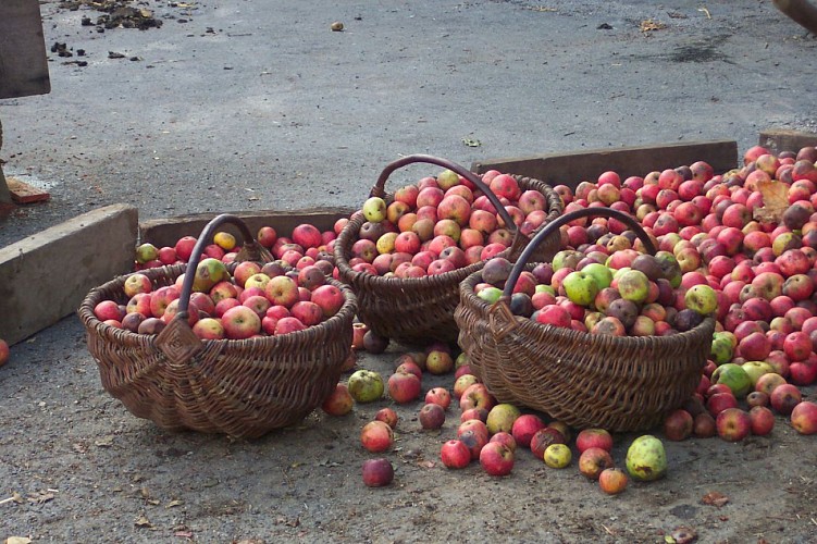 Fête de la pomme, 2e dimanche d'octobre