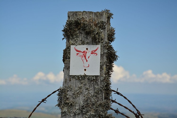 Le Tour des Vaches Rouges