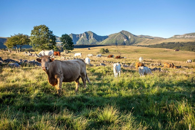 Le cirque de la Fontaine Salée