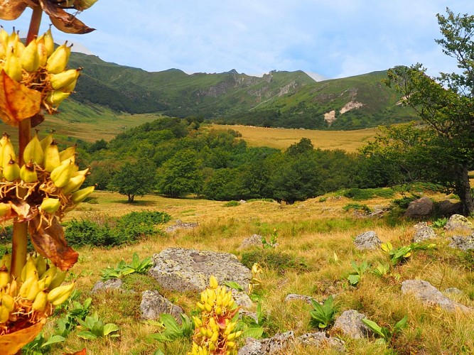 Le cirque de la Fontaine Salée