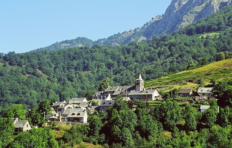 Le chemin d'Ardengost