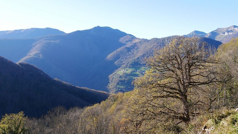 Le chemin d'Ardengost