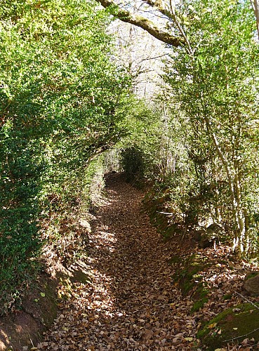 Le chemin d'Ardengost