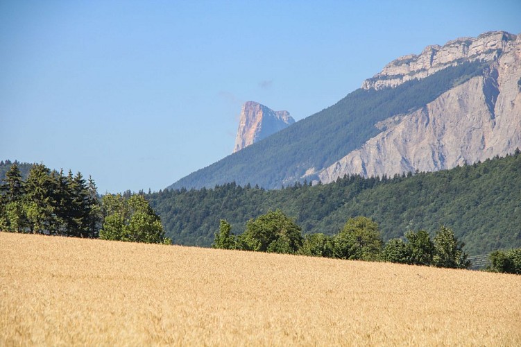 Le mont aiguille