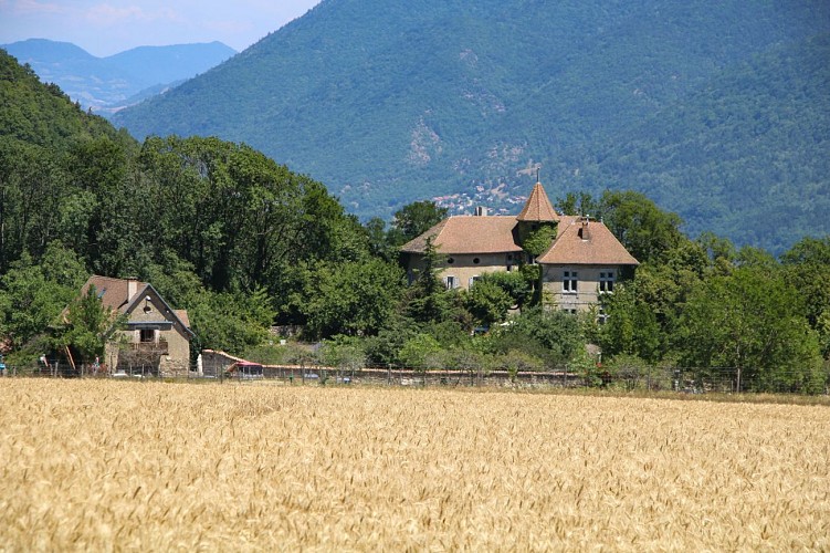 Le chateau de Paquier
