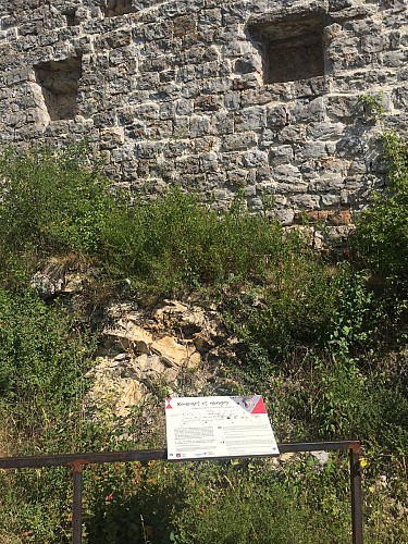 Site archéologique Petra Castellana