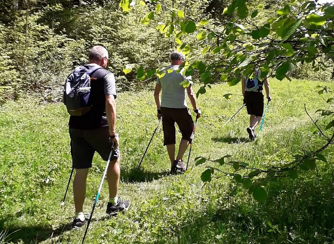 Marche Nordique n°10 - Boucle d’initiation Tour des Marais