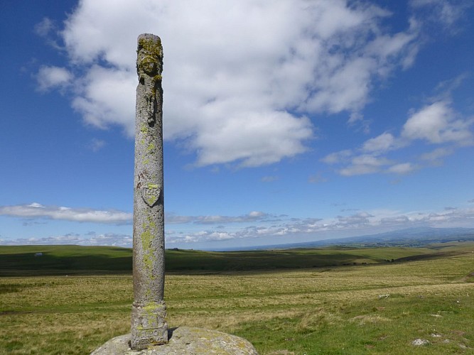 Au bord du plateau du Limon entre Dienne et Drils