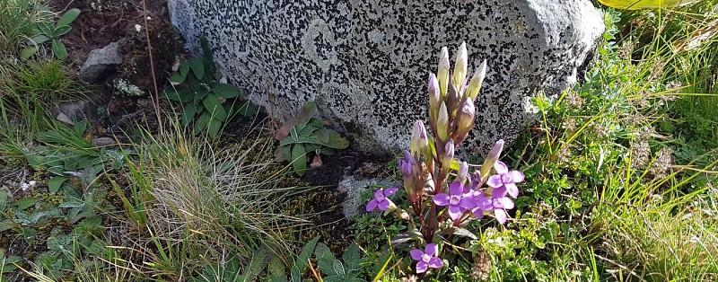 Le Claux et les contreforts du plateau du Limon