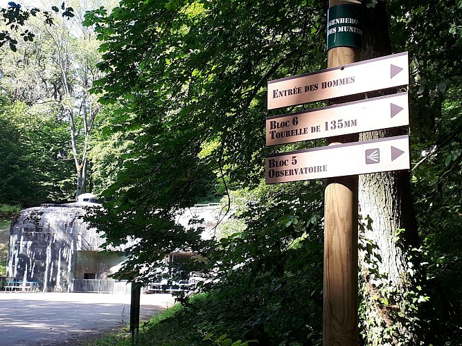 Vers l'entrée des hommes / entrée des munitions au Galgenberg