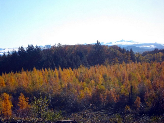 A la naissance du Chavanon - Parcours PAPSE
