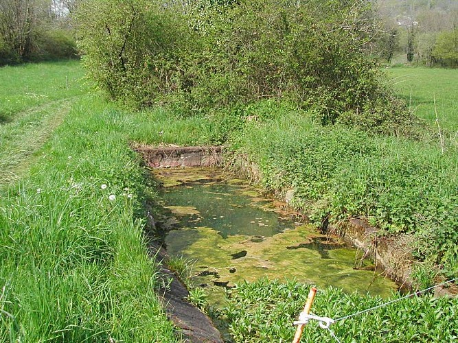 Au long des lavoirs collongeois