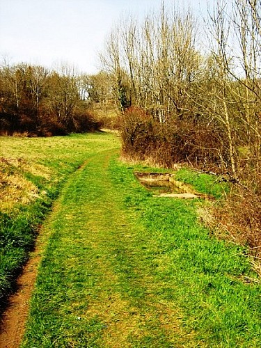 Au long des lavoirs collongeois